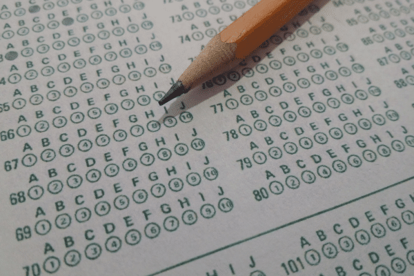 employer vs contractor test