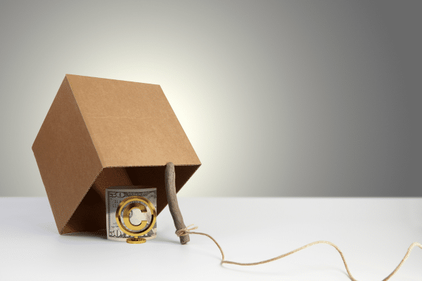 Copyright Rules varies across nations